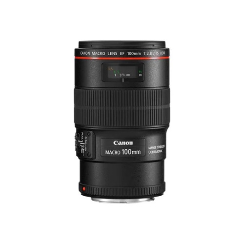 Canon-EF-100mm-f-2-8L-Macro-IS-USM-wb canon ef 100mm f 2 8l macro is usm под наем